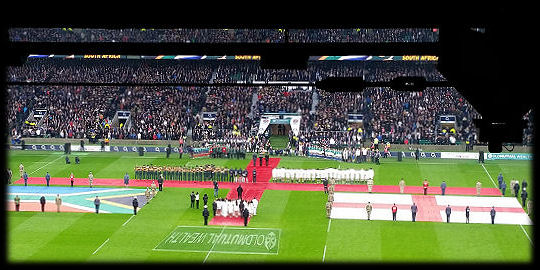 England Springboks